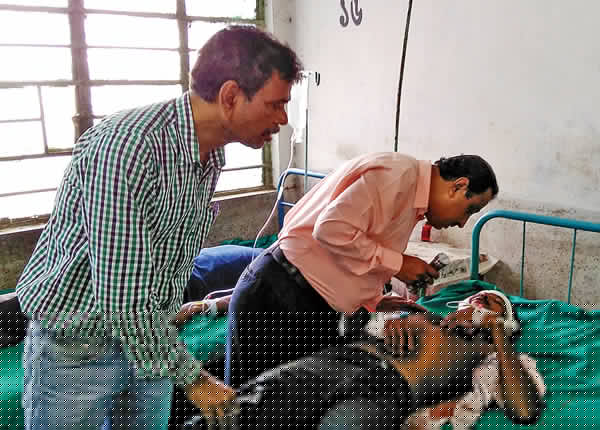 Accident killed 2 People