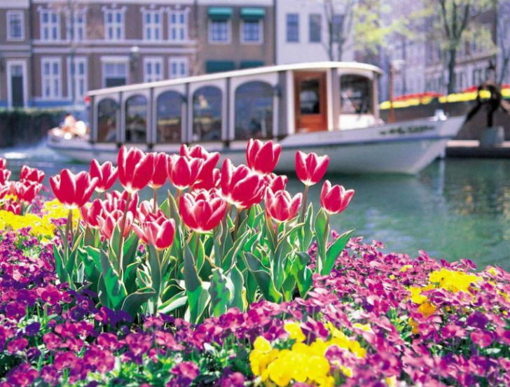 ৩৯ হাজার বর্গমিটার জুড়ে বিস্তৃত সাসেবো দ্বীপে দেখার জায়গাও রয়েছে প্রচুর। ইচ্ছা হলে ক্যাপসুলে করেই ঘুরে নেওয়া যায় সেই সমস্ত জায়গা।