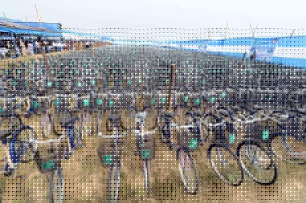 Unemployed Youth of Scheduled Castes and Tribes will be trained to make Bicycles for the students