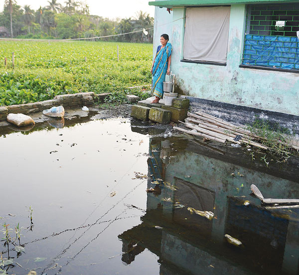 Mosquito infestation at Dankuni, dwellers got angry