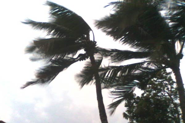 Kalbaisakhi played hide and seek with the city but in some districts it came in full fledge