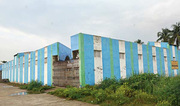 Flower market to change in Fish market