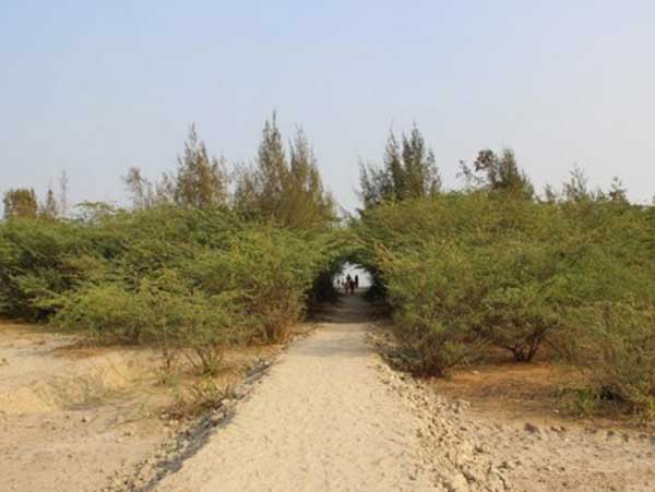 Show cause notice sent to 30 hotels of Bakkhali due to license dispute