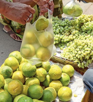 Poly Bags using continuously despite of prohibition