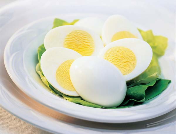 প্রতীকী ছবি।