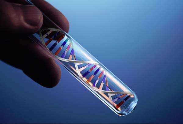 প্রতীকী ছবি।