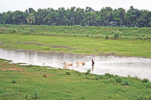 Conversation-session-with-Mamata-Banerjee
