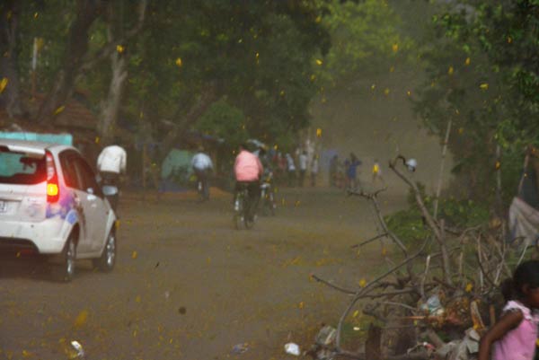 ঝোড়ো: ধুলোর ঝড় দুর্গাপুরের এনএন বোস রোডে। নিজস্ব চিত্র