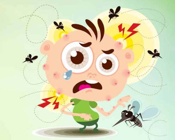 These foods work as Mosquito repellent dgtl