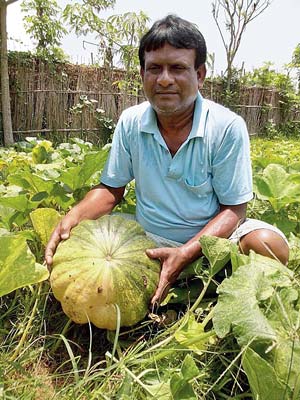 Farmers are getting profit after inventing a new kind of cultivation