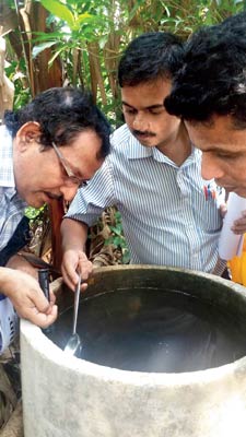 নজরদারি: মশার খোঁজে স্বাস্থ্য দফতরের দল। নিজস্ব চিত্র