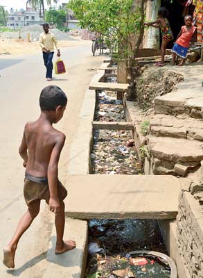 40 teams have been made for preventing mosquito-borne disease