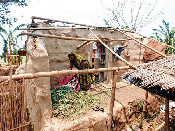 Loss for hailstrom, Farmers in problem