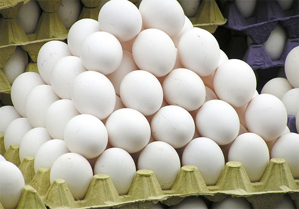 State Government has planned to set up Poultry farm to meet the deficit of eggs