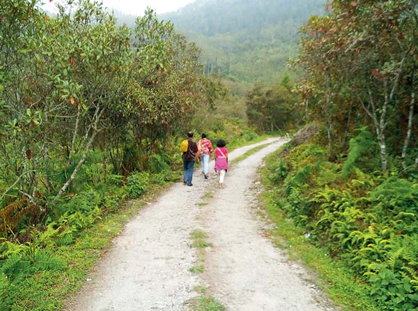 Letters to the Editor