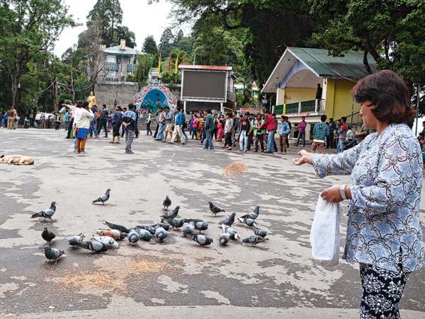 An panic experience of a tourist