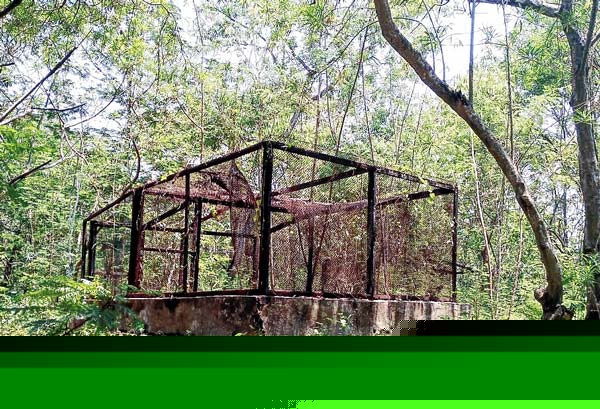 Haldia environment park damaged due to negligence