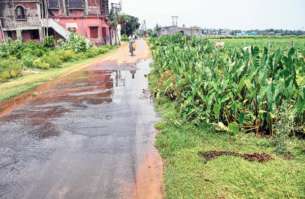 Instructions for organizing festival to stop social boycott