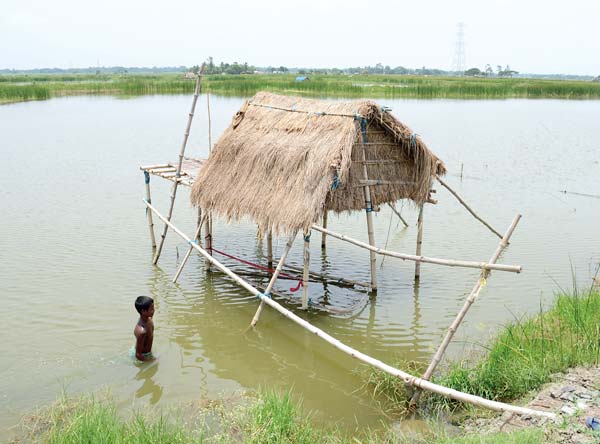 আলাঘর: এখানেই মারধর করা হয় আলিউরকে। নিজস্ব চিত্র