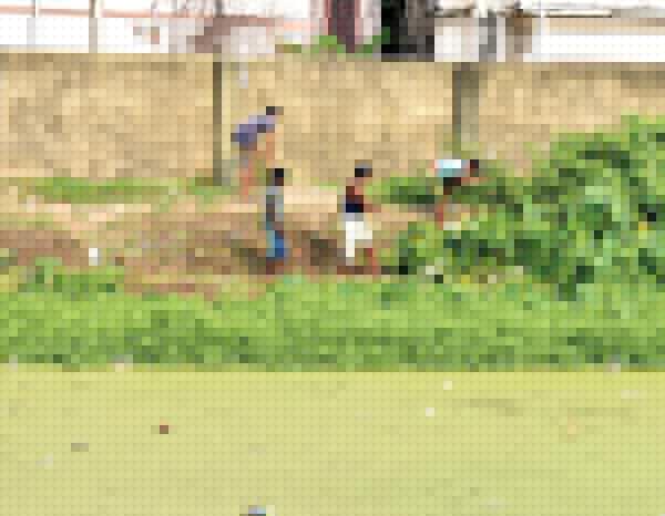 Serampore citizens are not happy with municipal works of mosquito killing