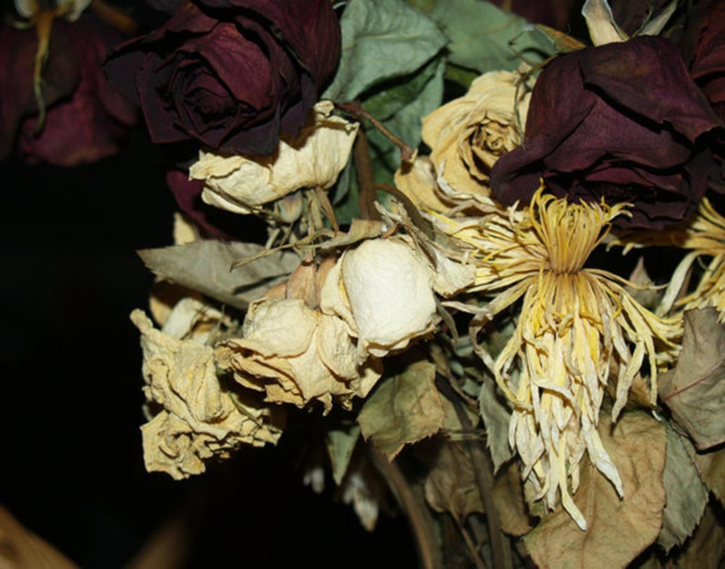 অনেকেই আমরা বাড়িতে গাছ, ফুল সাজিয়ে রাখতে ভালবাসি। শুকিয়ে যাওযার পরও সেগুলো থেকে যায় কিছুদিন। বাড়িতে শুকনো ফুল, গাছের পাতা থাকলে তা আমাদের ডিপ্রেসড করে দিতে পারে।