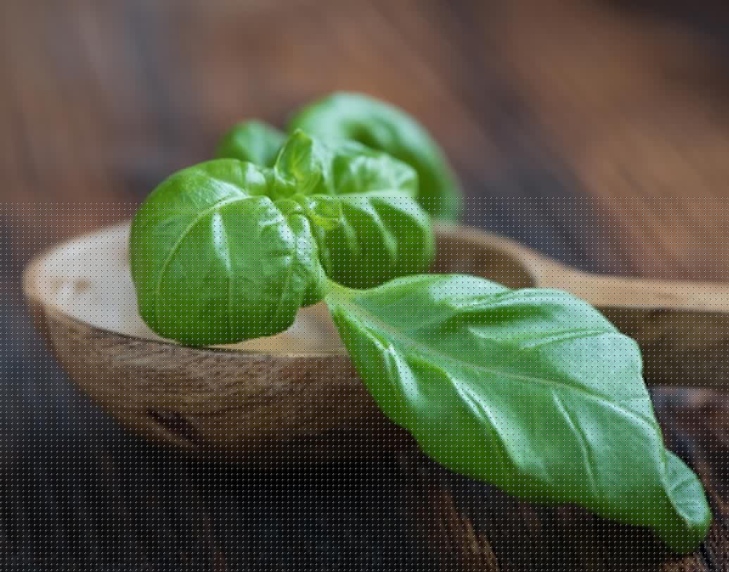 তুলসি টোনার: তুলসি পাতা কুচি কুচি করে ছিঁড়ে ফুটন্ত জলে দিন। আঁচ বন্ধ করে চাপা দিয়ে কিছুক্ষণ ভিজতে দিন। ছোঁকে নিয়ে বোতলে ভরে ফ্রিজে রাখুন। সংবেদনশীল ত্বকের জন্য এই টোনার খুবই নিরাপদ।