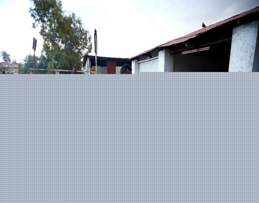 আব্বাসের বাবা ছিলেন ইউসুফ মুম সালেহ। হায়নাদের ডেকে এনে খাওয়াতেন ইউসুফ। বাবার কাছ থেকেই বন্য হায়নাদের কী ভাবে পোষ মানিয়ে খাওয়াতে হয় তা শিখেছিলেন আব্বাস। এখন সেটাই তাঁর ভালবাসা।