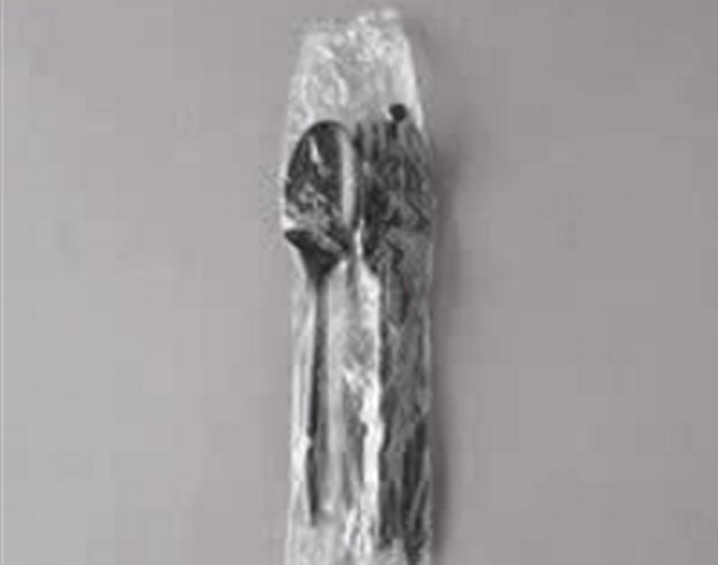 এ বার একটি প্লাস্টিক ব্যাগে ঢুকিয়ে তা সূর্যালোকে রেখে দিন।