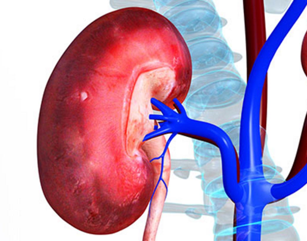 অ্যামোনিয়ার মতো ঝাঁঝালো গন্ধ হলে কিডনির সমস্যা হতে পারে।