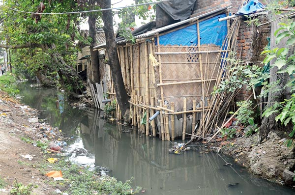 Again dengue infestation in district