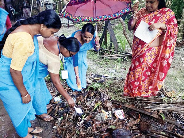 municipality is worried about increasing dengue fever in area