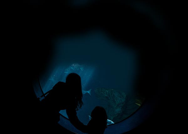 Travel Agents caught on charges of Child Rrafficking