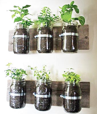 How to make garden at your kitchen