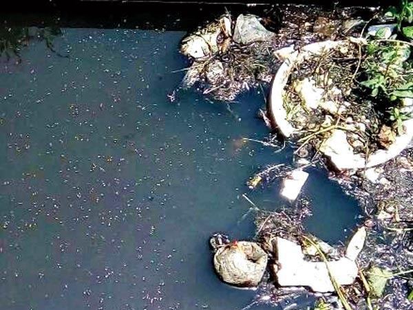 The mission started to kill mosquitoes