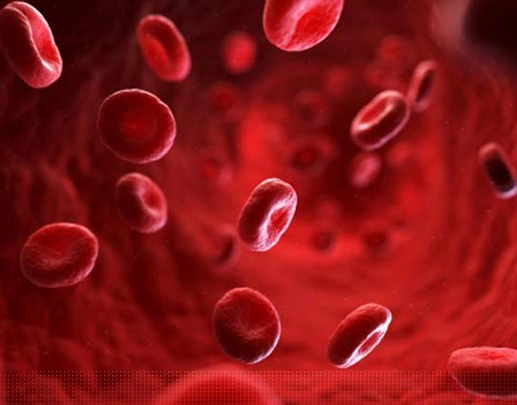 ডেঙ্গি: ম্যালেরিয়ার মতো মশাবাহিত রোগ ডেঙ্গি। বর্ষায় আমাদের রাজ্যে ডেঙ্গির প্রভাবে বহ মানুষের মৃত্যু হয়। অতিরিক্ত জ্বর, গায়ে ব্যথা, দুর্বলতা, র‌্যাশ বড় সমস্যা ডেকে আনতে পারে।