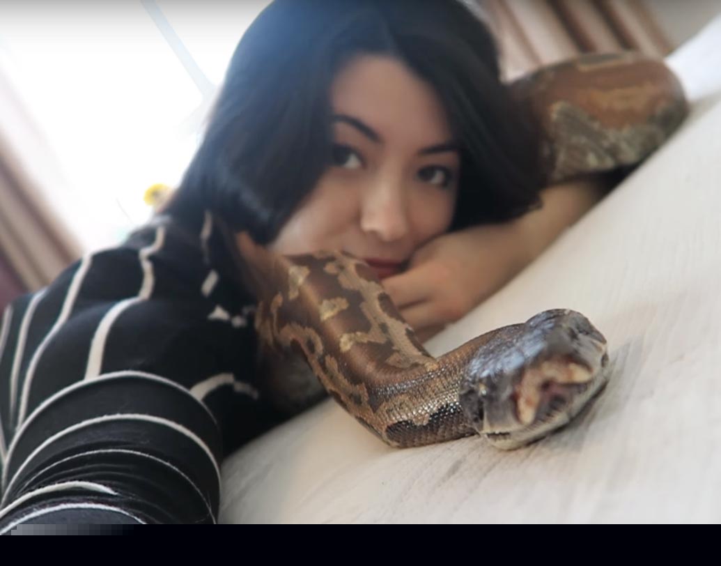 এম-এর সংগ্রহে রয়েছে ফুট আটেকের একটি পাইথন। এই অদ্ভুত পোষ্য সংগ্রহের জন্যই তাঁর ইউটিউব চ্যানেলের সাবস্ক্রাইবারের সংখ্যা প্রায় দেড় লক্ষ।