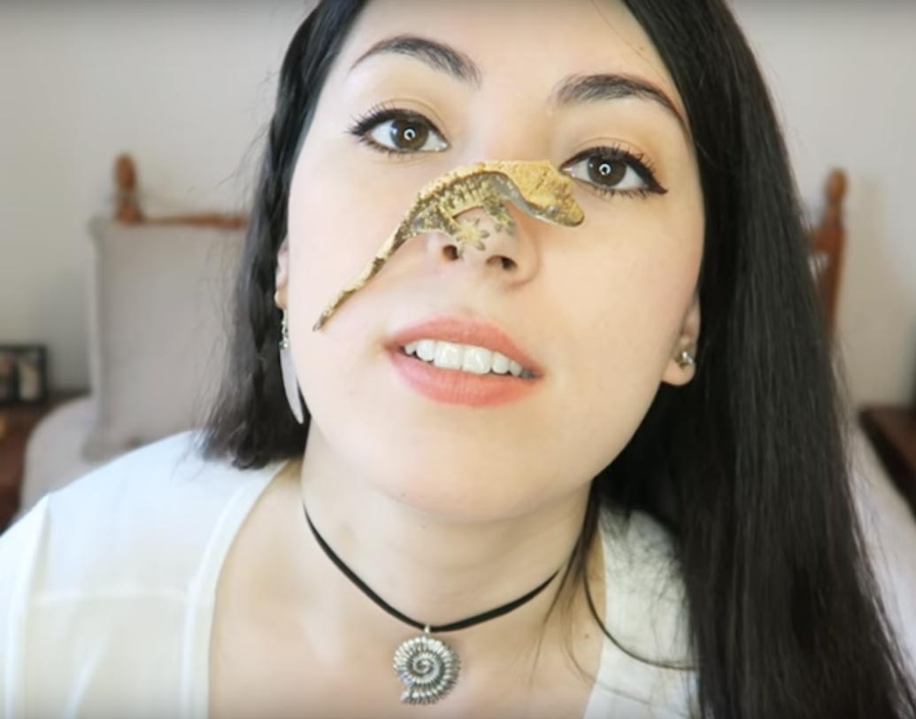 এম-এর ইউটিউব চ্যানেলের নাম এমজটিক। এম-এর সংগ্রহে রয়েছে দুর্মূল্য একটি গোল্ডেন গেকো বা তক্ষক।