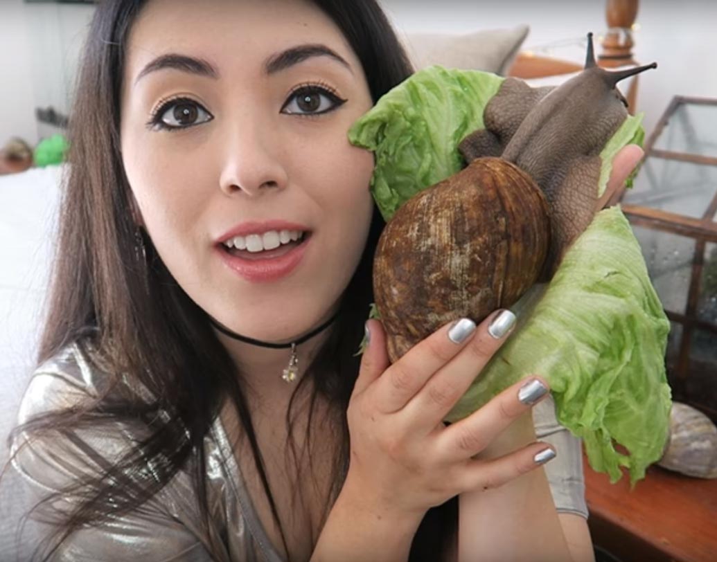 একটি বিশাল শামুকও রয়েছে এই ব্রিটিশ মহিলার সংগ্রহে। শামুকটিকে এম ‘স্রেক’ বলে ডাকেন।