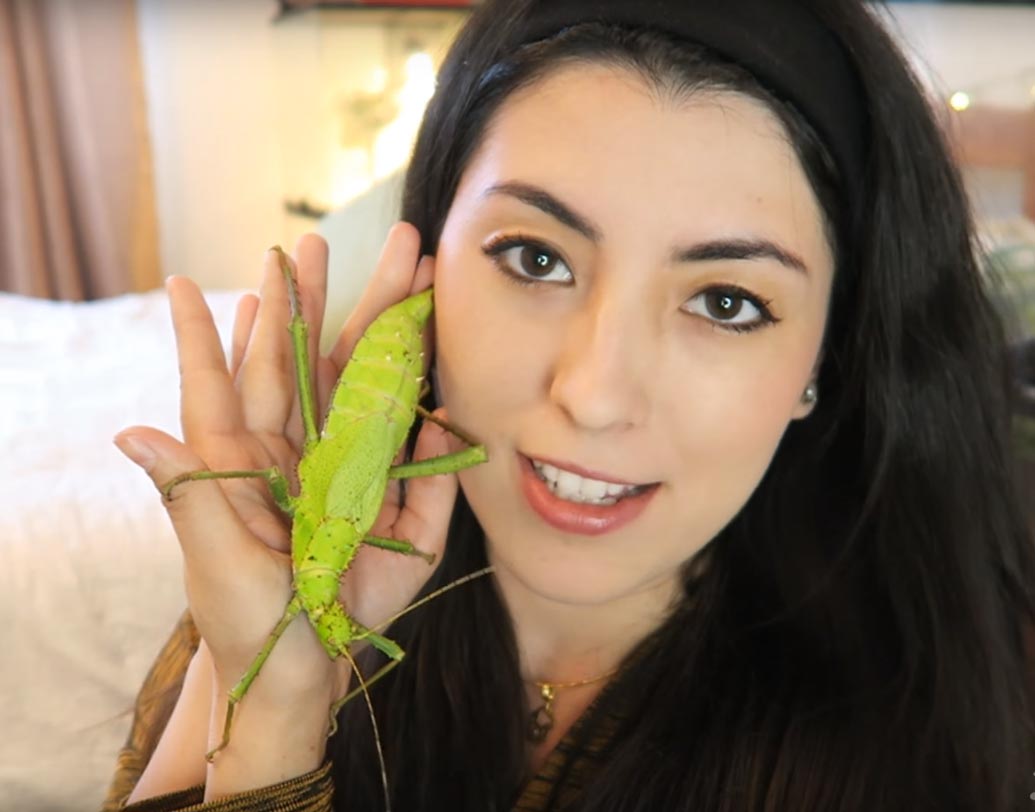 কচি কলাপাতা রঙের বিশাল একটি জঙ্গল নিম্ফ, আমরা যাকে গঙ্গা ফড়িং বলি, তা-ও রয়েছে এম-এর সংগ্রহে।