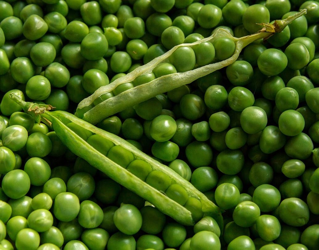 কড়াইশুঁটি: গর্ভাবস্থায় অনেকেরই আমিষ খাবারে গন্ধ লাগে। তারা ভিটামিন বি৩-র ঘাটতি মেটাতে ডায়েটে রাখতে পারেন কড়াইশুঁটি। এই খাবার নিয়াসিনে ভরপুর।