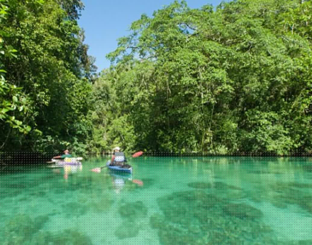 দ্বিতীয় বিশ্বযুদ্ধের সময় জাপানি সেনারা ব্যবহার করেছিল এই বিমানটি।