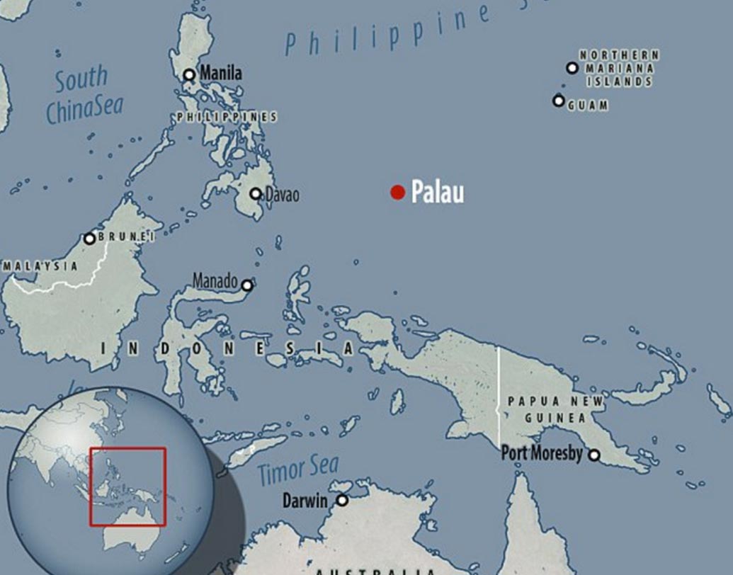 বিমানটির বেশির ভাগ অংশই এখনও অক্ষত। ডানা দু’টির গঠনও প্রায় আগের মতোই রয়েছে।