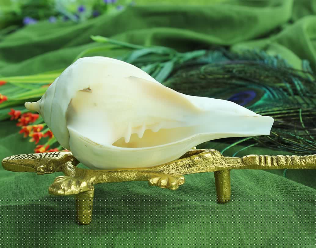 শ্রী কৃষ্ণ বিষ্ণুর অবতার। তাই হিন্দু পূরাণ মতে জন্মাষ্টমীর দিন দক্ষিণাবর্ত শঙ্খ বাজিয়ে শ্রী কৃষ্ণের অভিষেক করলে তার সঙ্গে মা লক্ষ্মীও প্রসন্ন হন। মনষ্কামনা পূর্ণ হয়।