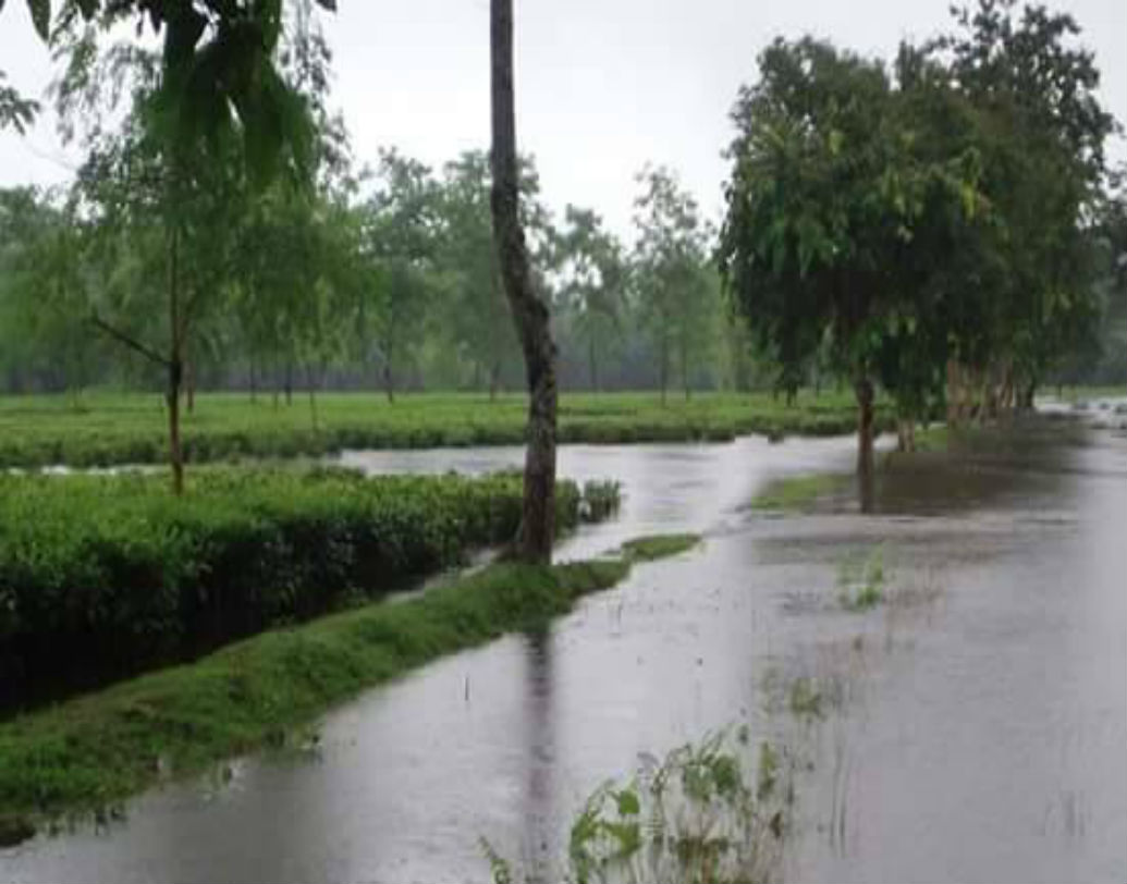 ইতিমধ্যেই তিস্তা ব্যারেজ থেকে আড়াই হাজার কিউসেক জল ছাড়া হয়েছে।  ভুটানে বৃষ্টির জেরে তিস্তা নদীর জল আরও বেড়ে যাওয়ায় সম্ভাবনা তৈরি হয়েছে। জল বেড়ে গেলে নদী সংলগ্ন গ্রাম প্লাবিত হওয়ার সম্ভাবনা রয়েছে।