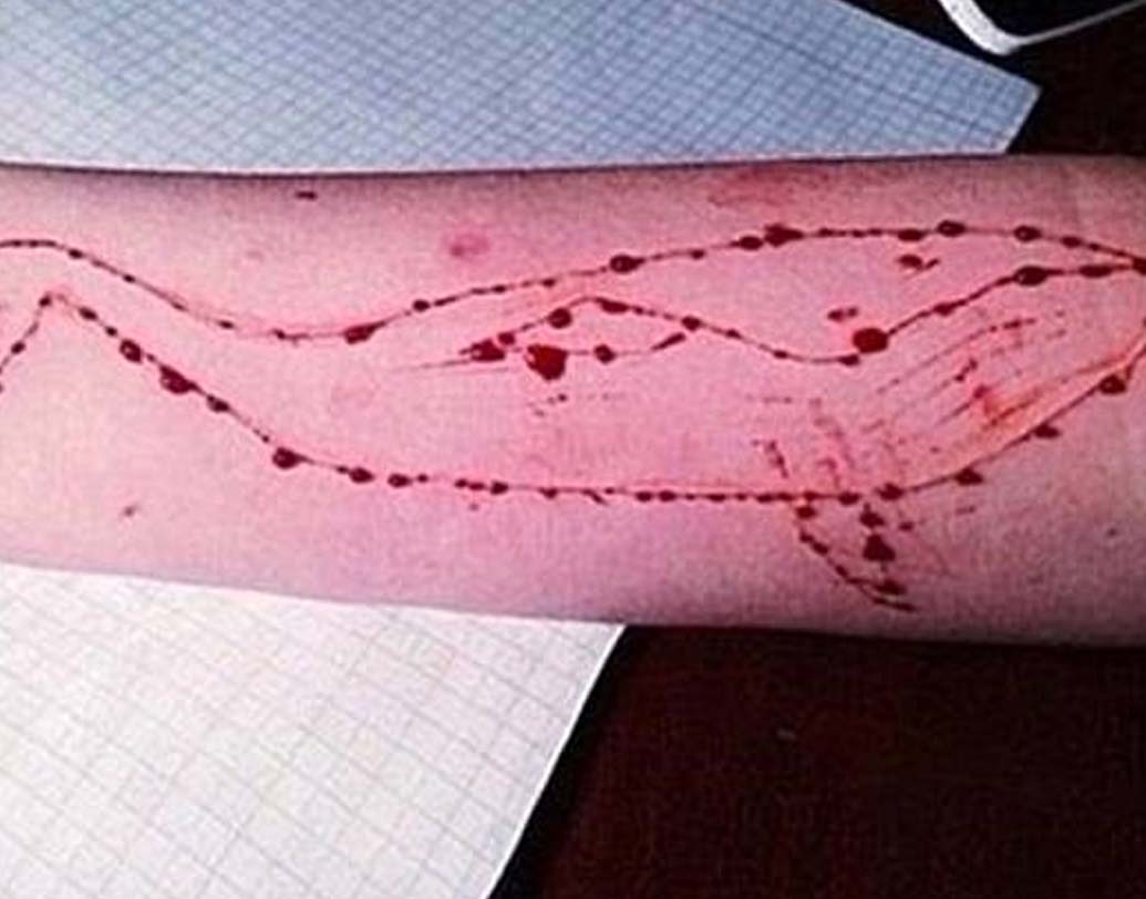 এই গেমের ৫০টি ধাপ রয়েছে। এক বা একাধিক কিউরেটর দ্বারা চালিত হয় এই গেম। তাদের নির্দেশেই গেমের এক একটি নিয়ম মেনে চলেন অংশগ্রহণকারীরা।