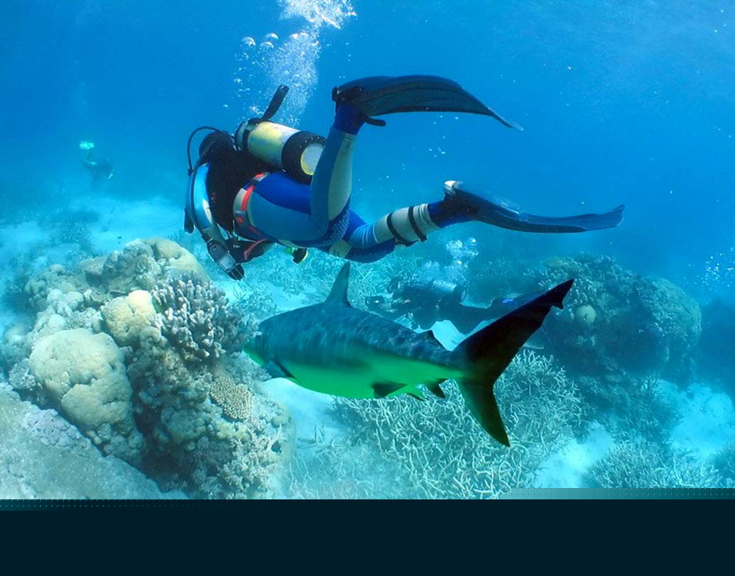 বাণিজ্যিক উদ্দেশ্যে মাছ ধরা নিষিদ্ধ আন্দামান ও নিকোবর দ্বীপপুঞ্জে।