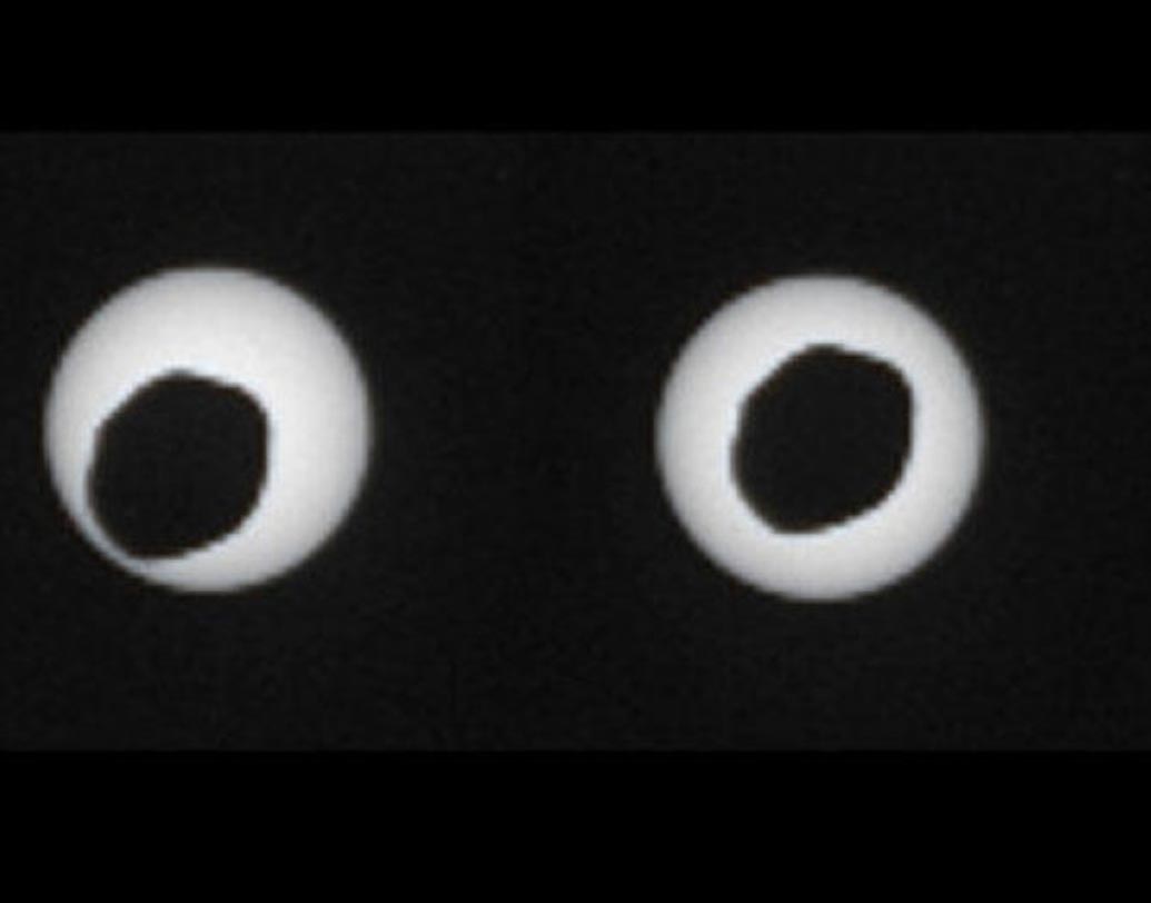 মঙ্গল গ্রহ পৃথিবী এবং শুক্রের চেয়ে ছোট। এর রয়েছে দু’টি চাঁদ। ডিমোস এবং ফোবোস। ঠিক এমনই হবে মঙ্গল থেকে সূর্যগ্রহণের ছবি।