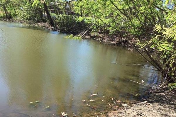 woman's dead body found from pond