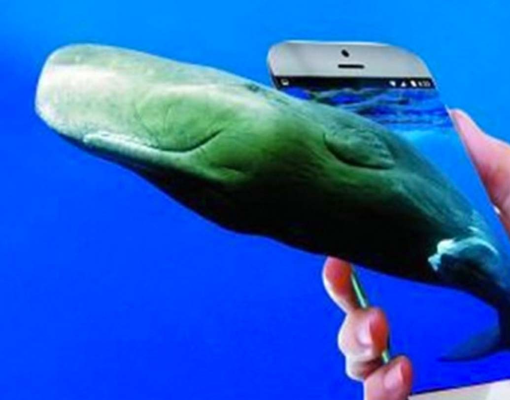 তাদের মতে, আপনার বাচ্চাদের সঙ্গে বন্ধুত্বপূর্ণ ব্যবহার করুন। তাদের অসুবিধার কথা বোঝার চেষ্টা করুন। পাশাপাশি মনোবিদের কাছে পরামর্শ নেওয়ার কথা বলা হয়েছে।