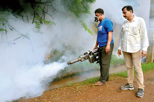 Dengue mosquito is everywhere